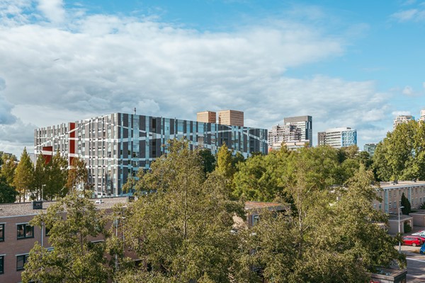 Geervliet 51 - 18.jpg